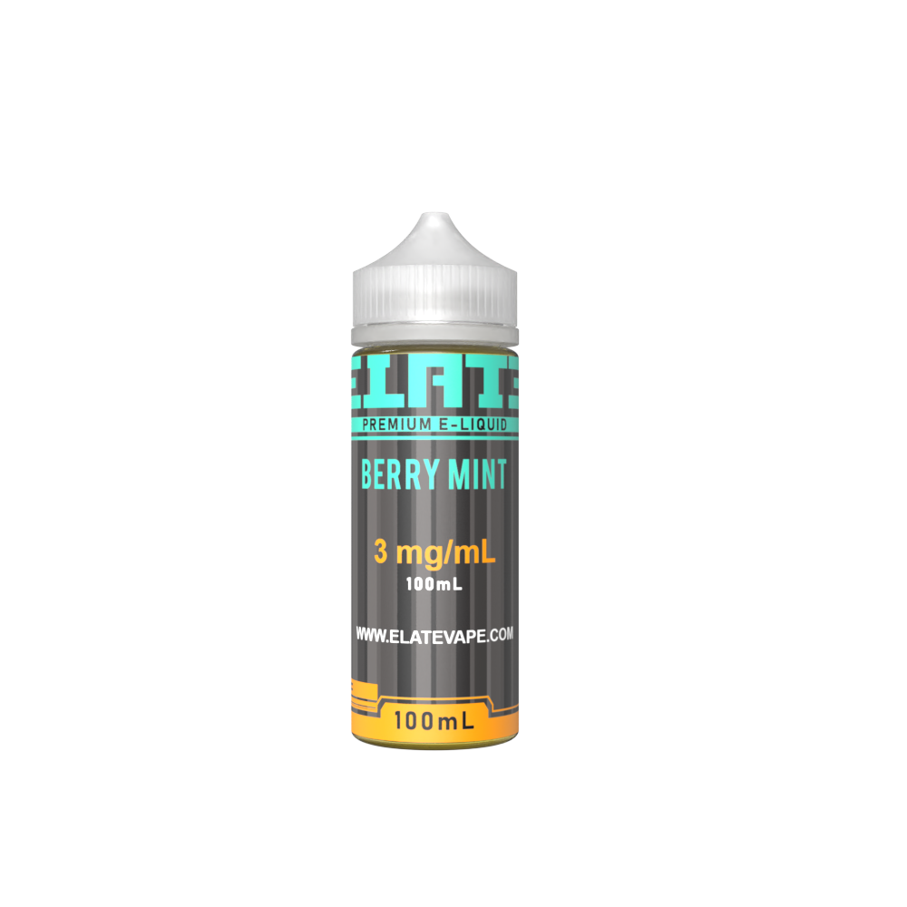 Berry Mint E-liquid 100ml
