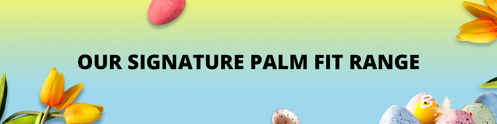 Palm Fit